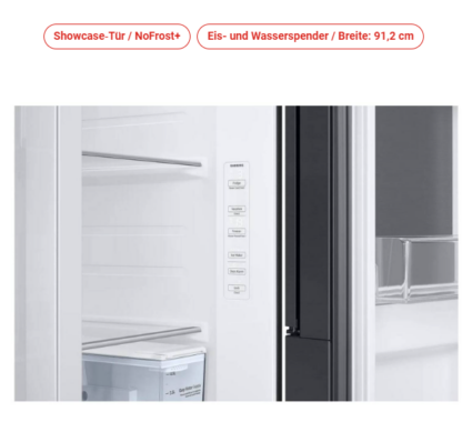 Samsung Side-by-Side Showcase-Tür NoFrost+ RH 64 DG 53 R3 B1 EF *E* – Bild 5